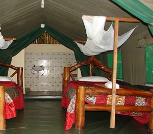 Accommodation at Biwndi Forest