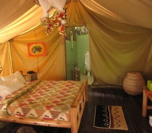 Accommodation at Bwindi Forest