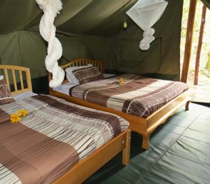 Accommodation in Bwindi Forest