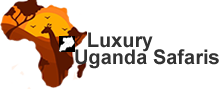Luxury Uganda Safaris